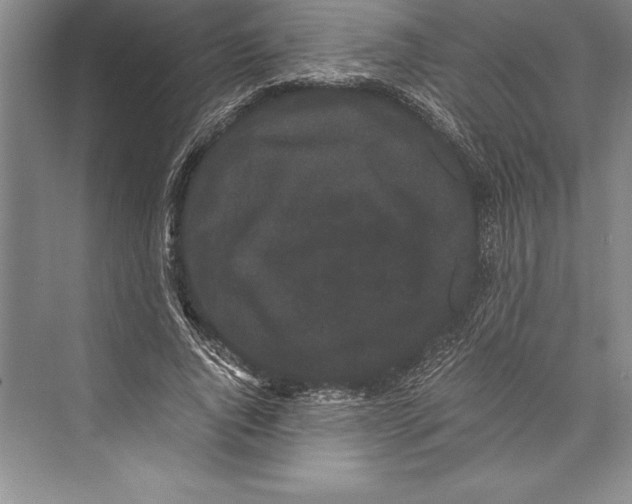 X0000072500736200608111627