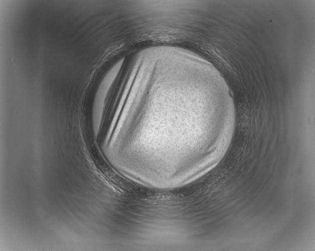 X0000072500738200608111627