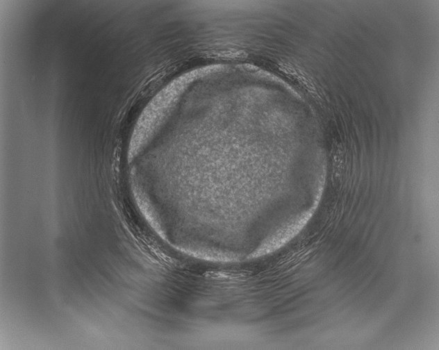 X0000072500739200608111627