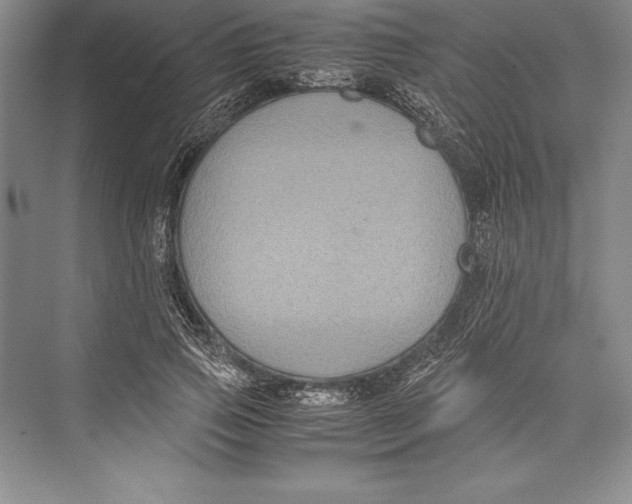 X0000072500741200608111627