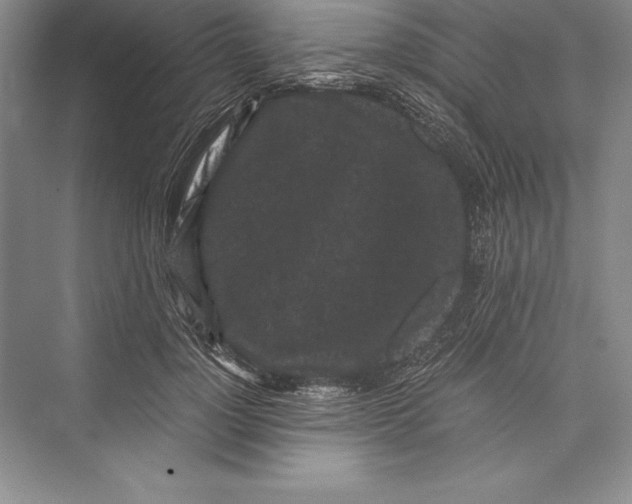 X0000072500748200608111628