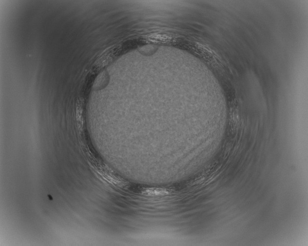 X0000072500749200608111628