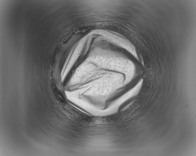 X0000072500750200608111628