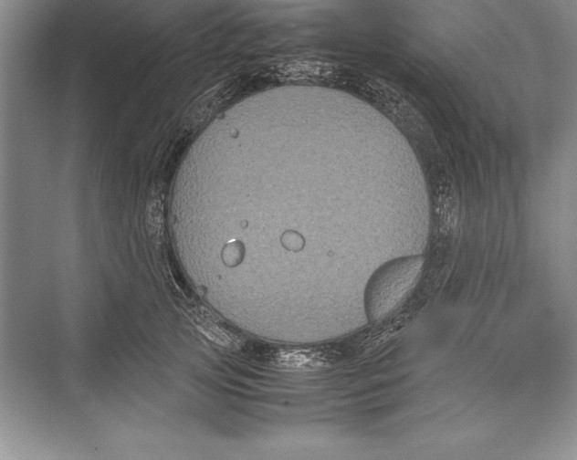 X0000072500753200608111628