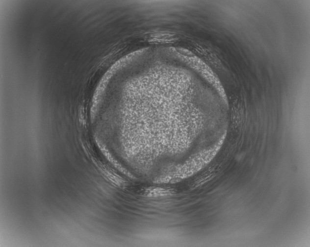 X0000072500755200608111628