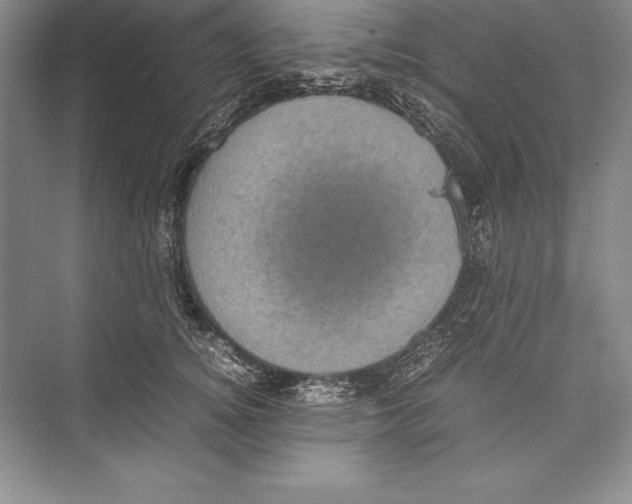 X0000072500756200608111628