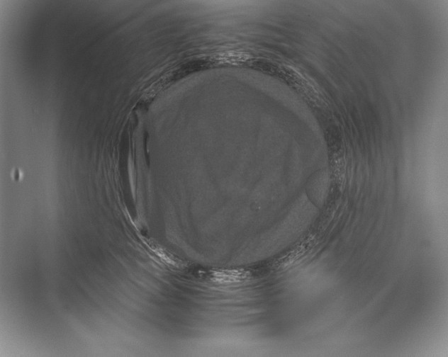 X0000072500757200608111628