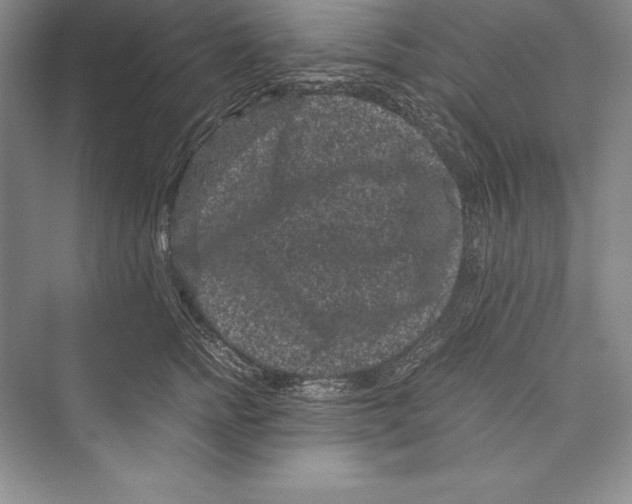 X0000072500758200608111628