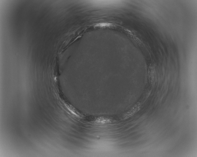 X0000072500760200608111628