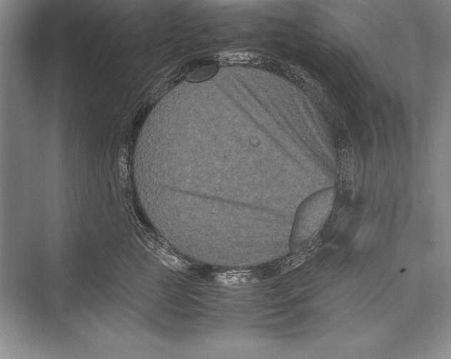 X0000072500761200608111628