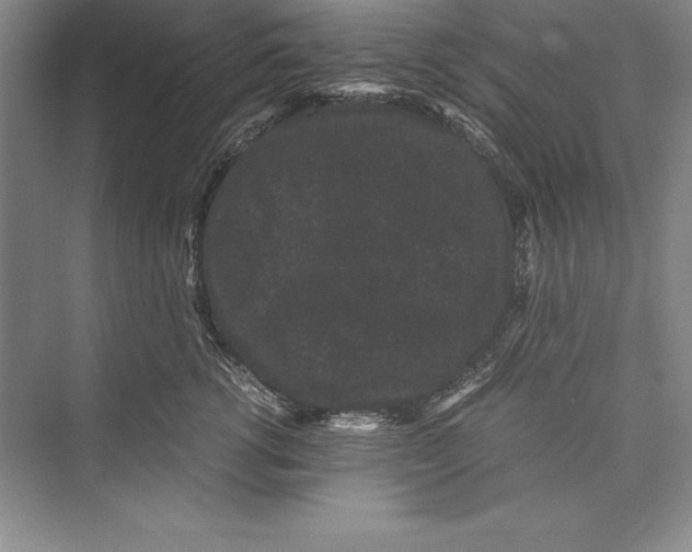 X0000072500762200608111628