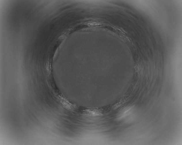 X0000072500763200608111628