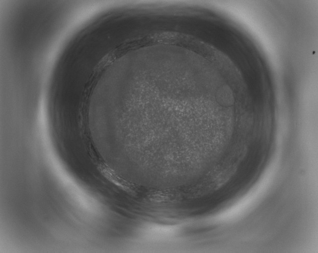 X0000072500765200608111628