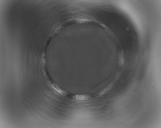 X0000072500766200608111628