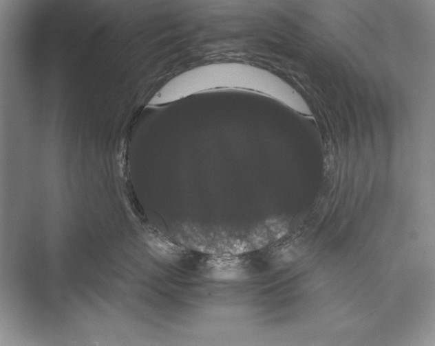 X0000072500767200608111628