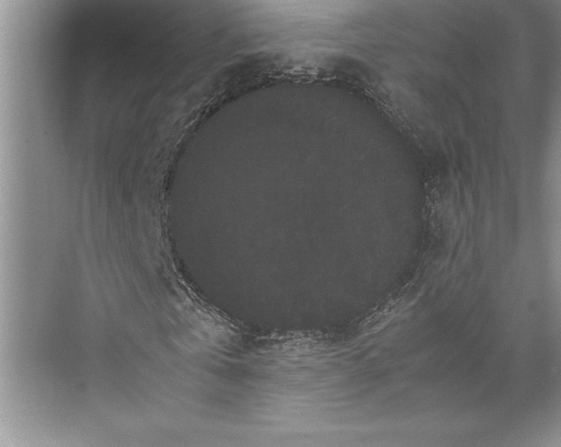 X0000072500769200608111627