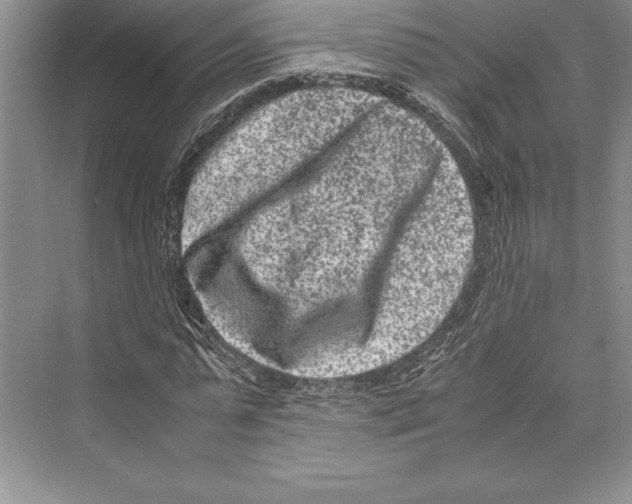 X0000072500775200608111627