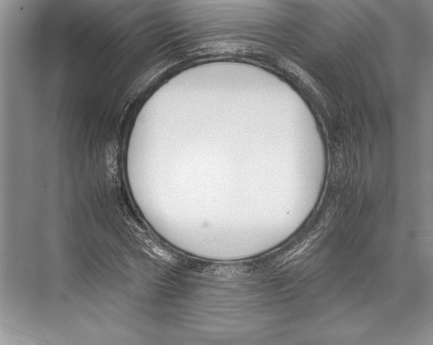 X0000072500778200608111627