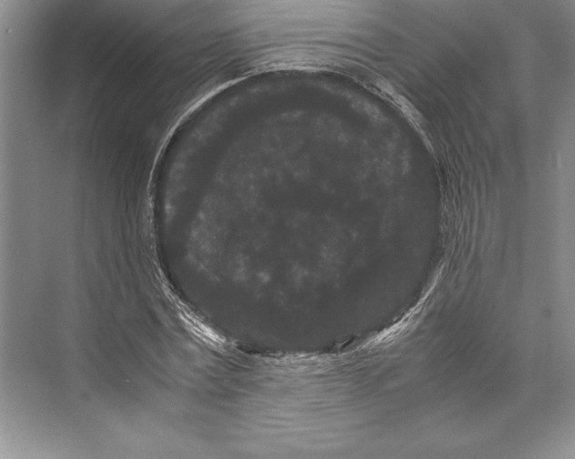 X0000072500779200608111627