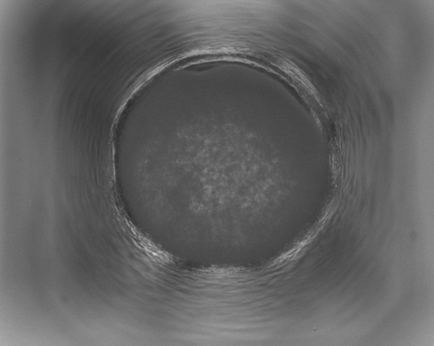 X0000072500781200608111627