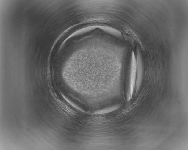 X0000072500784200608111627