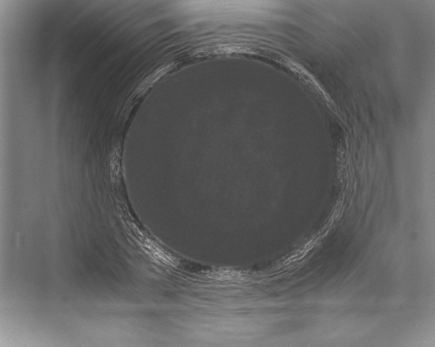 X0000072500785200608111627