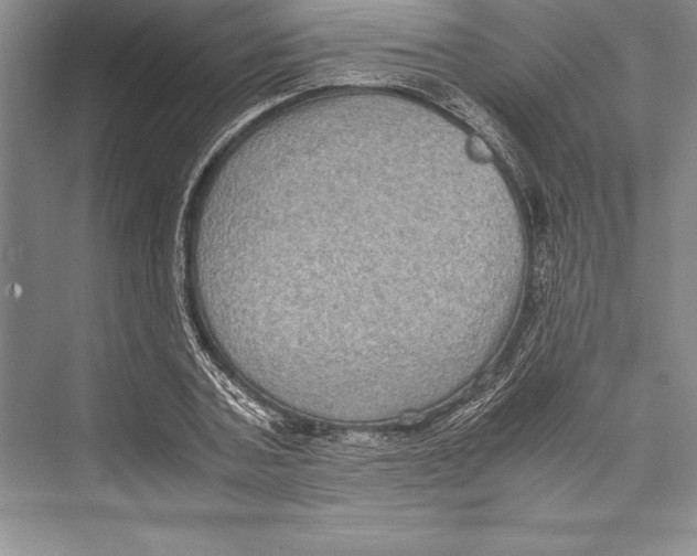 X0000072500787200608111627