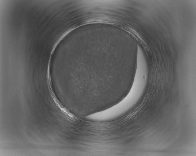 X0000072500788200608111627