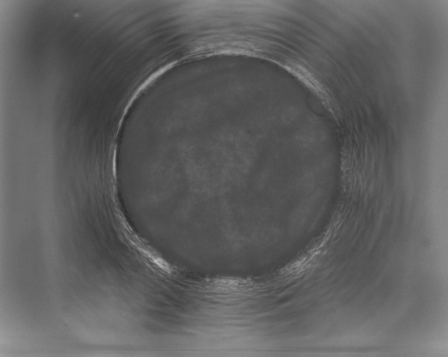 X0000072500790200608111627