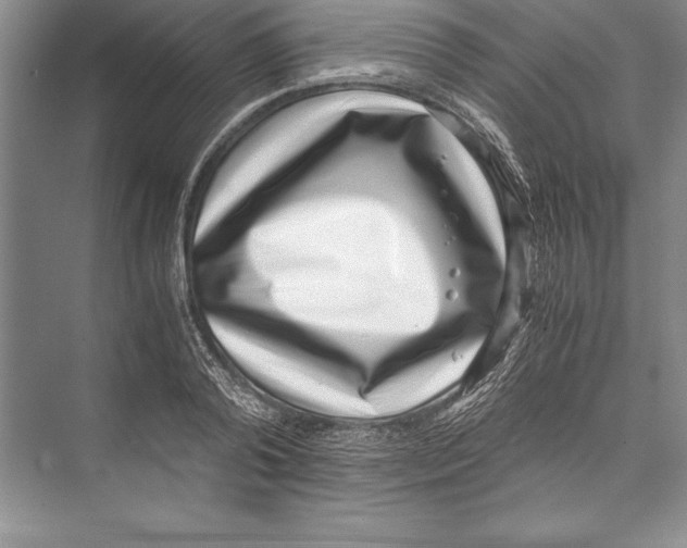 X0000072500792200608111627