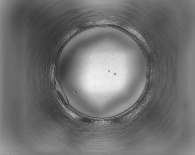 X0000072500793200608111627