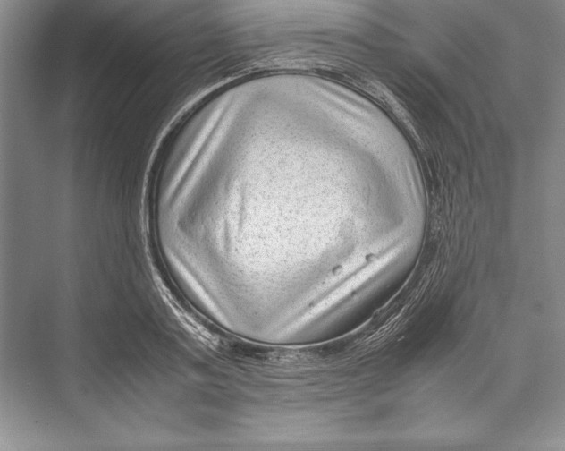 X0000072500795200608111627