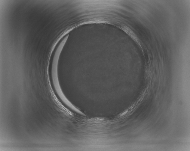 X0000072500797200608111627