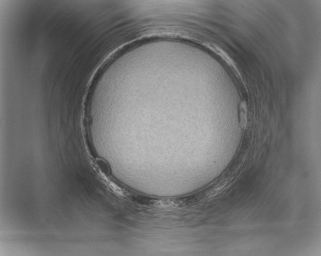 X0000072500799200608111627