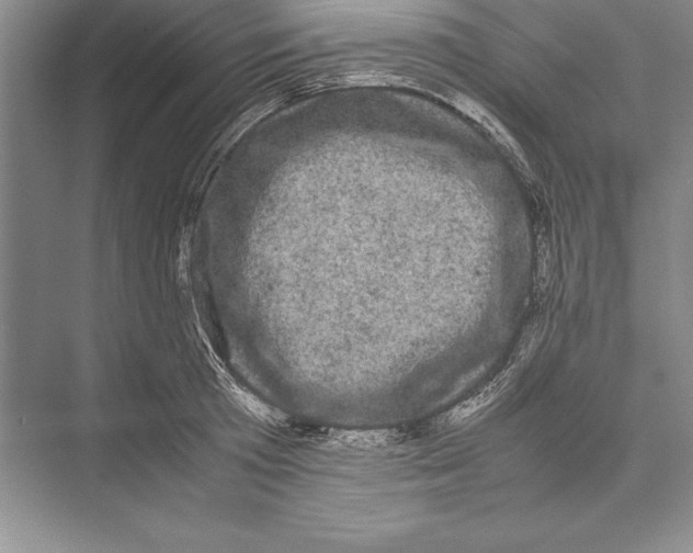 X0000072500801200608111627