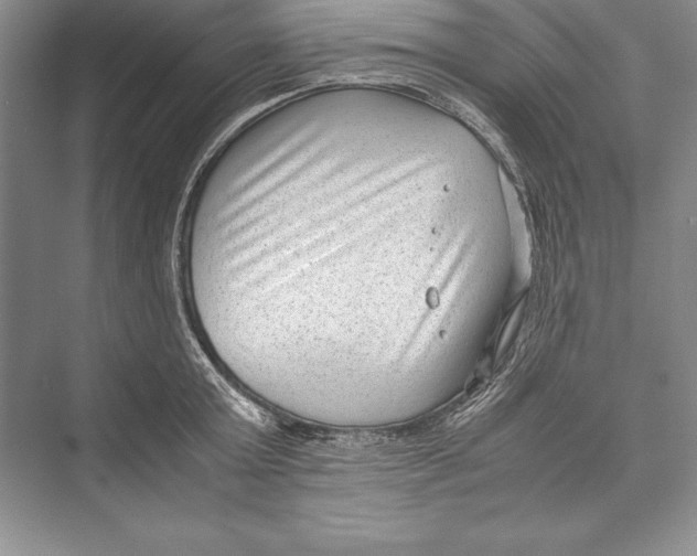 X0000072500803200608111626