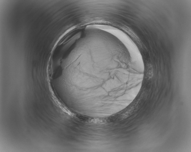 X0000072500806200608111626