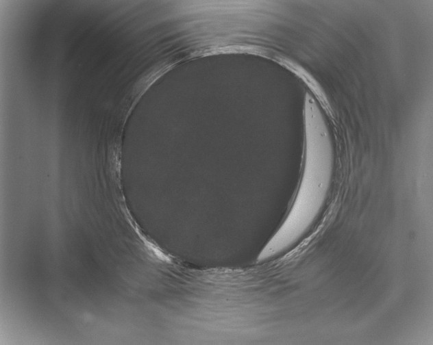 X0000072500809200608111626