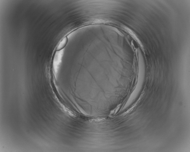 X0000072500810200608111626