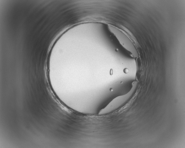 X0000072500812200608111626