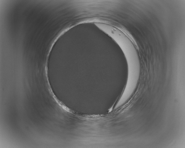 X0000072500813200608111626