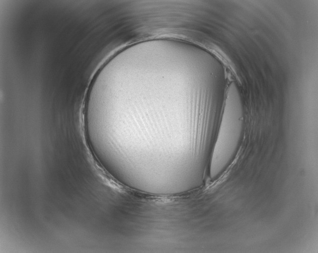 X0000072500814200608111626