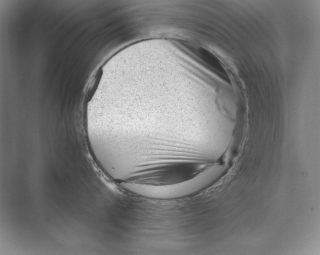 X0000072500816200608111626