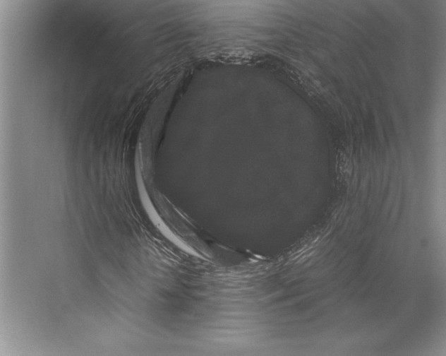 X0000072500818200608111625