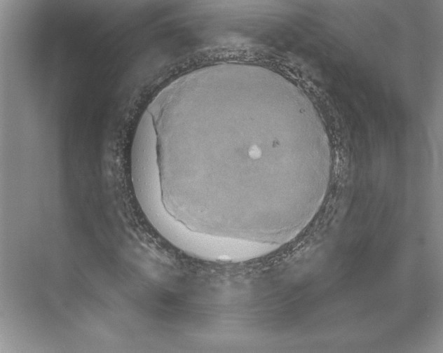 X0000072500820200608111626