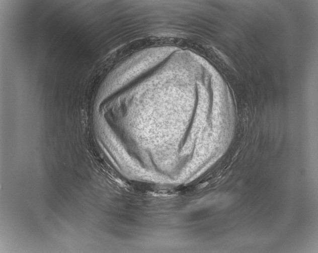 X0000072500821200608111626