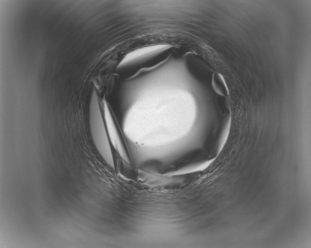 X0000072500822200608111626