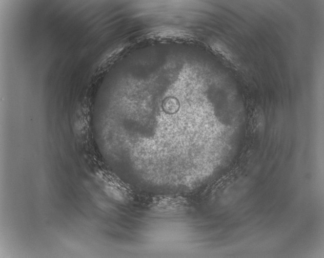 X0000072500824200608111626