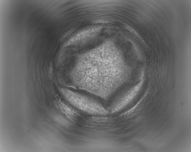 X0000072500825200608111626