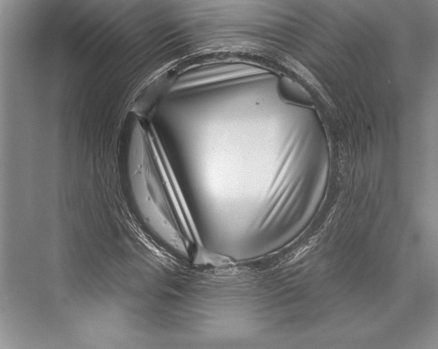 X0000072500826200608111626